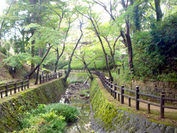 根来寺の小路2.