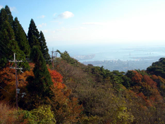 六甲山の紅葉.01.